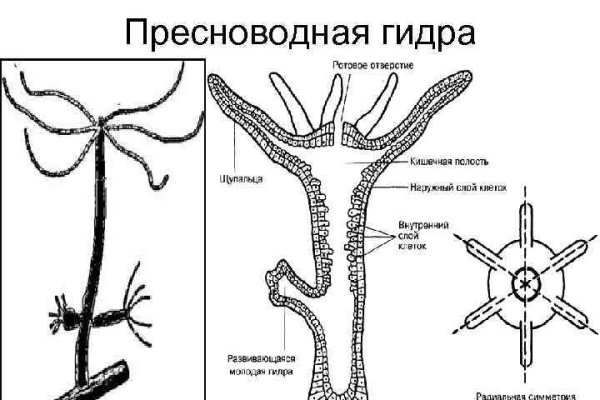 Кракен тор это